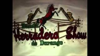 Banda Herradero Show  El Gato Negro [upl. by Kcirdlek855]