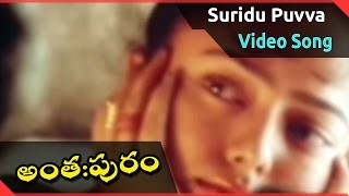 Anthapuram Movie  Suridu Puvva Video Song  Sai Kumar Jagapathi Babu Soundarya [upl. by Roane30]