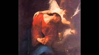 Jan Dismas Zelenka 1679 1745 Te Deum a due cori YouTube [upl. by Alyel]