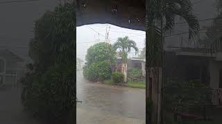 Mahangin at maulan na po dito sa may Pob 2 Gainza Camarines Sur Ingat po Tayo typhoonnika [upl. by Loginov]