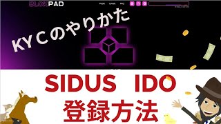 SIDUSのIDO（ステーキング）登録方法・ＫＹＣ顔認証まで [upl. by Perice]