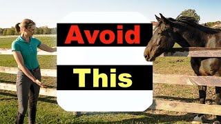 BEGINNER HORSE RIDING MISTAKES  TOP 10 🐴 [upl. by Airpac]