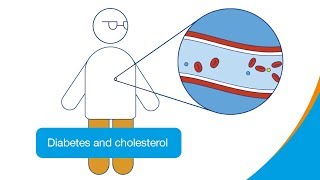 Diabetes and cholesterol  How it works  Diabetes UK [upl. by Ella]