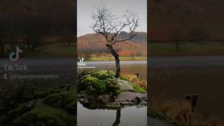 Rydal Water amp Grasmere 🌦️ rydalwater rydal thelakedistrict laledistrict [upl. by Onairelav]