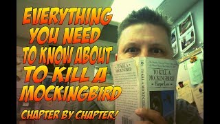 To Kill a Mockingbird chapter 12 summary amp Analysis [upl. by Letsirc]