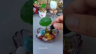 The water cups and tea bowls that are not used at home can be made into small hydroponic ornaments [upl. by Harvison876]