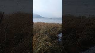 Local Hunter Searches for Goose in Tenakee Springs Alaska [upl. by Portugal589]