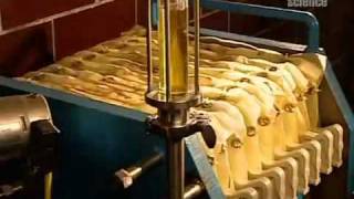 How Vegetable Oil Is Made [upl. by Yorke407]