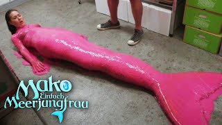 Überraschung in Pink  Staffel 2 Kurzfolge 2  Mako  Einfach Meerjungfrau [upl. by Atsuj]