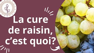 La cure de raisin cest quoi [upl. by Shippee]