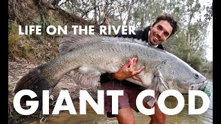 Murray River LONG range Fishing and camping trip GIANT Surface Murray Cod Week 2 [upl. by Lucita]