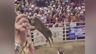 Bull jumps fence at Sisters Rodeo injures 3 [upl. by Airdnola218]