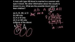 Genetics of the blood types [upl. by Wright399]