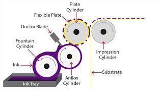 Flexographic Printing Explained [upl. by Moyer898]