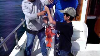 FISHING AT ENSENADA BAJA CALIFORNIA MEXICO [upl. by Ellenid]