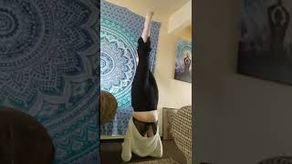 Headstand practice today [upl. by Rolfston741]