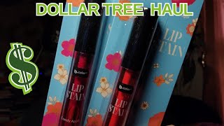 DOLLAR TREE HAUL  NEW ITEMS  November 9 2024 [upl. by Miru]