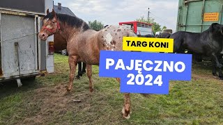 Ogólnopolskie Targi Końskie Pajęczno maj 2024  Targ koni [upl. by Merow]