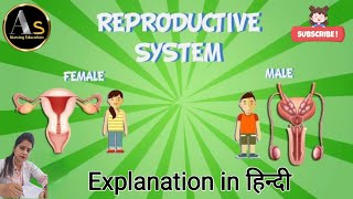 reproductive system anatomy amp physiology l Menstrual cycle l reproductive system of male amp female [upl. by Nnylacissej949]