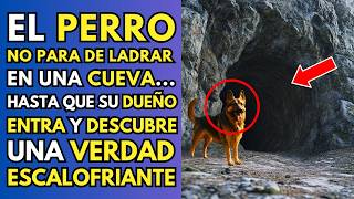 PERRO NO PARA DE LADRAR EN UNA CUEVA HASTA QUE SU DUEÑO ENTRA Y DESCUBRE UNA VERDAD ESCALOFRIANTE [upl. by Eugenio410]