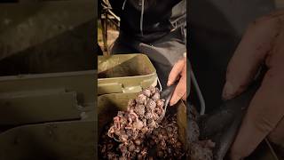 This AUTUMN 🍂 CARP BAIT MIX is AWESOME 🔥🔥🔥 carpfishing onemorecast fishing carpfishing2024 [upl. by Girardo392]