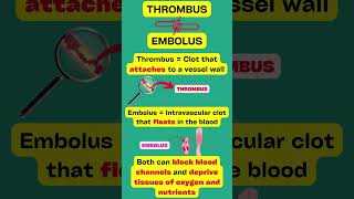 Thrombus VS Embolus EXPLAINED [upl. by Ahsiemak]