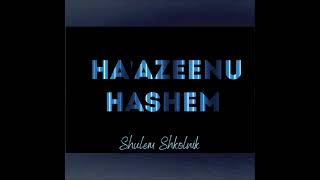 Haazeenu Hashem  Shulem Shkolnik Official Audio [upl. by Nnaeiram]