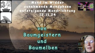 Mond Geflüster von Baumgeistern und Baumelben [upl. by Annocahs]