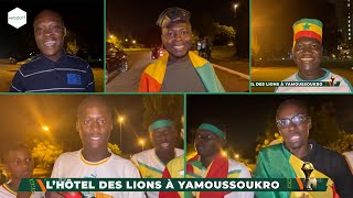 CAN 2023 🇨🇮  Ambiance à L’hôtel des Lions 🦁🇸🇳 à Yamoussoukro CAN2023 Senegal wiwsport [upl. by Bollinger349]