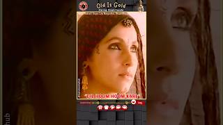 Dil Hoom Hoom Kare🎬Rudaali ⭐ Dimple Kapadia  Gulzar🎙️Lata Mangeshkar [upl. by Acinoed85]