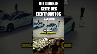 Was du über Elektroautos nicht wissen sollst elektroauto kobalt diegrünen [upl. by Anaynek83]