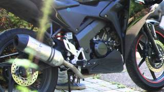 Honda CBR 125R Leovince LV One Evo 2Wunderbaumsports [upl. by Seema]