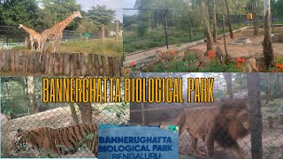 Banneruughatta Biological Park । Banneruughatta National park। Bengaluru। [upl. by Wolfy120]