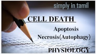 Cell death  Apoptosis and Necrosis  Explanation in Tamil  Physiology  Sukumiii [upl. by Godbeare835]