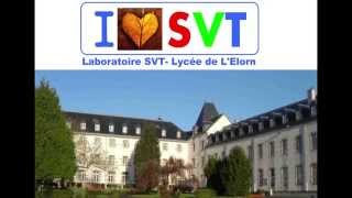 Lycée de lElorn Terminale Scientifique SVT Spécialité SVT Hervé Kempf [upl. by Tanaka]