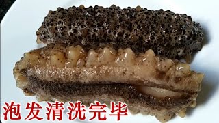 海参的泡发和清洗步骤 Sea cucumber [upl. by Kramnhoj866]