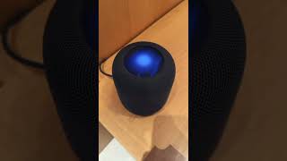 The new HomePod really is 🔥 apple homepod homepod2 homepod2023 newhomepod homepods [upl. by Lynelle]