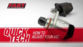 FAST Quick Tech How to Adjust Your IAC [upl. by Acemaj15]