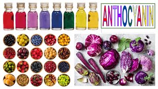 anthocyanin [upl. by Eahsed]