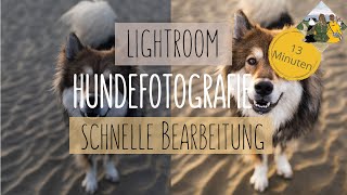 Hundefotografie  Einfache Lightroom Bearbeitung [upl. by Winnah]