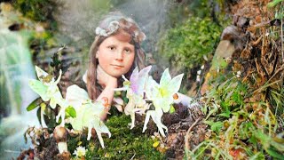 Cottingley Fairies A Historical Photo Gallery COLOURISED [upl. by Akenahc424]