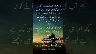 Aqwal E Zareen Aqwal E Zareen video Aqwal E Zareen Wattsapp status [upl. by Airamahs214]