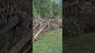 Flooding in Asheville NC Aftermath 7 [upl. by Studnia]