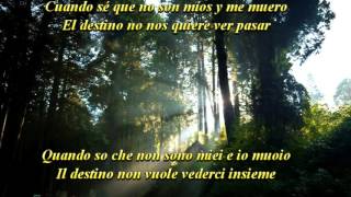 Sebastián Yatra  Cómo Mirarte Lyrics amp Traduzione [upl. by Longawa330]