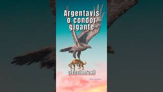 ARGENTAVIS O CONDOR GIGANTE [upl. by Fredenburg]