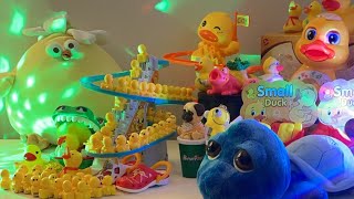 LET’S PLAY asmr asmrsounds asmrvideo satisfying toys duck cute relaxing play playtime [upl. by Nosydam108]