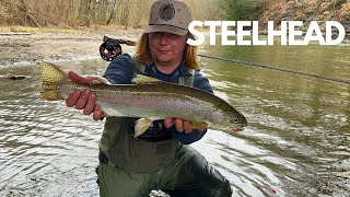 Fly fishing spring STEELHEAD ERIE PA [upl. by Omik]