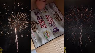 3quot inch 25s DDAY DISPLAY SHELLS FIREWORKS CAKE 2024  BEAN DAY HO [upl. by Rafferty]