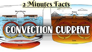 Convection Current  Just 2 Minutes Facts  Simplified Concept [upl. by Stubstad257]