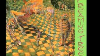 Screaming Trees  Ivy [upl. by Cummins]